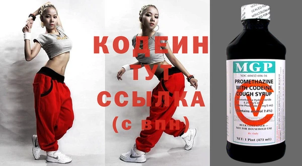 гидра Снежногорск