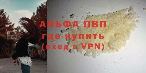 бошки Гусев