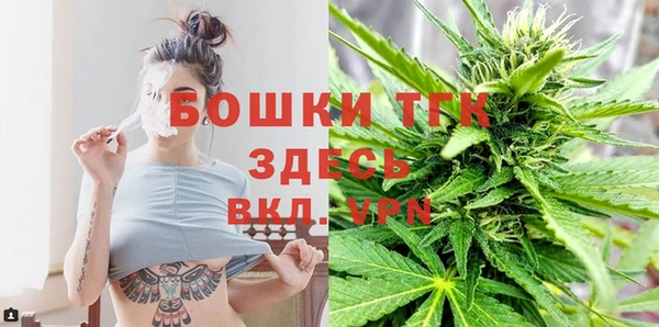 гидра Снежногорск