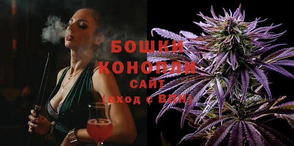apvp Снежинск
