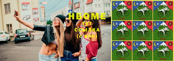гидра Снежногорск