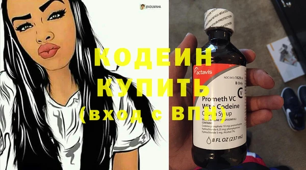 гидра Снежногорск