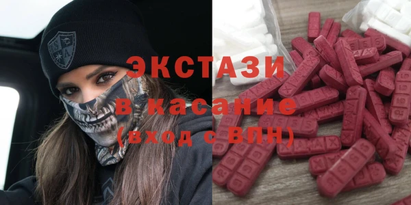 гидра Снежногорск