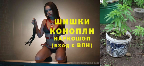 гидра Снежногорск